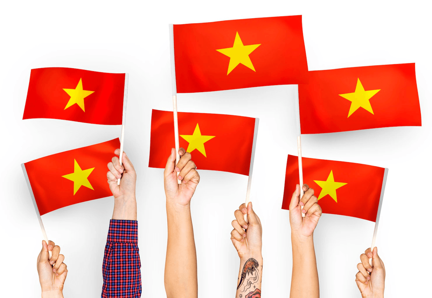 in cờ cầm tay