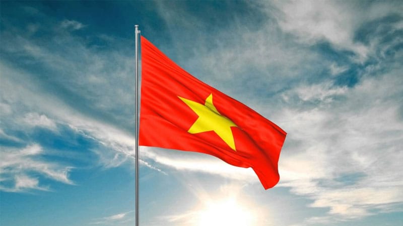 viet-nam-co-bao-nhieu-la-co