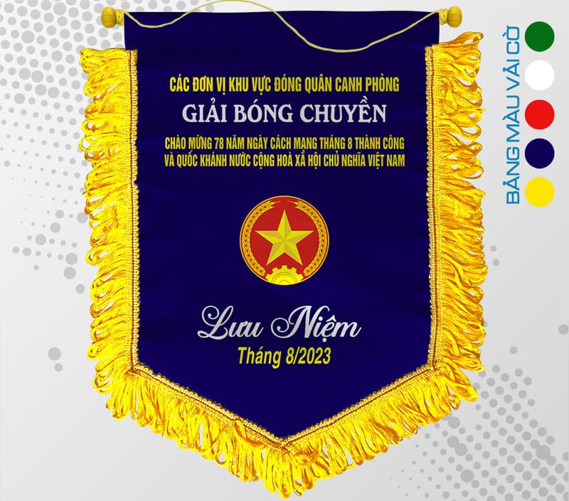 co-luu-niem-bong-chuyen